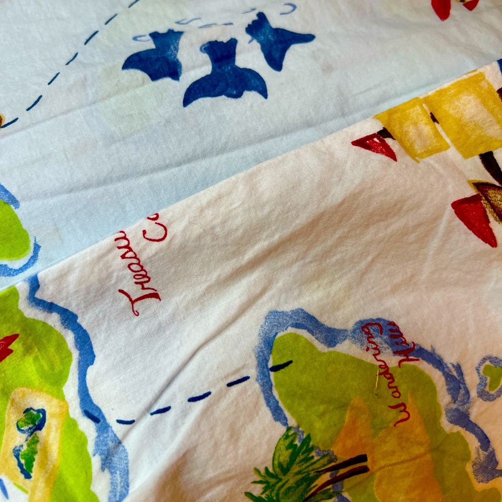 Vintage Pottery Barn Kids Duvet Cover TWIN